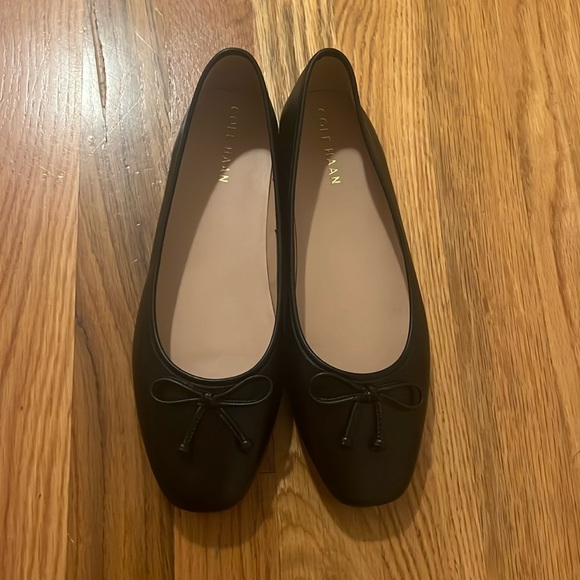 BRAND NEW COLE HAAN BALLET FLATS - Picture 1 of 3